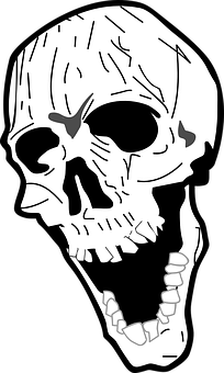黑白骷髏插畫 壁紙