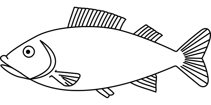 黑白魚插圖 壁紙