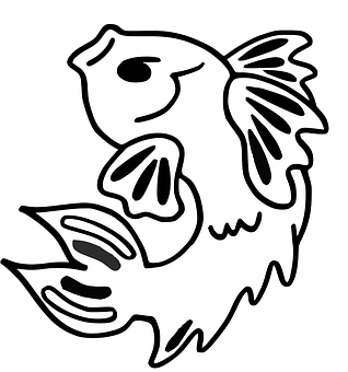 黑白魚繪畫 壁紙