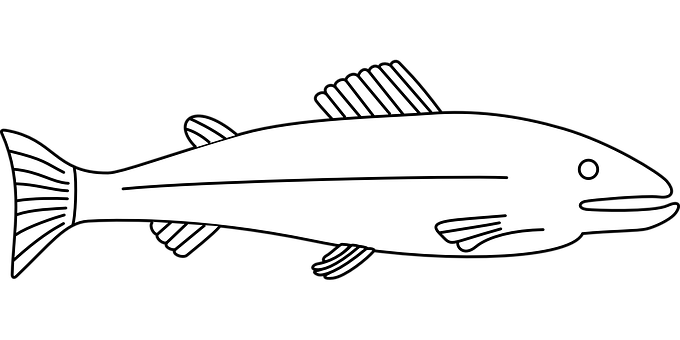 黑白魚類插畫 壁紙