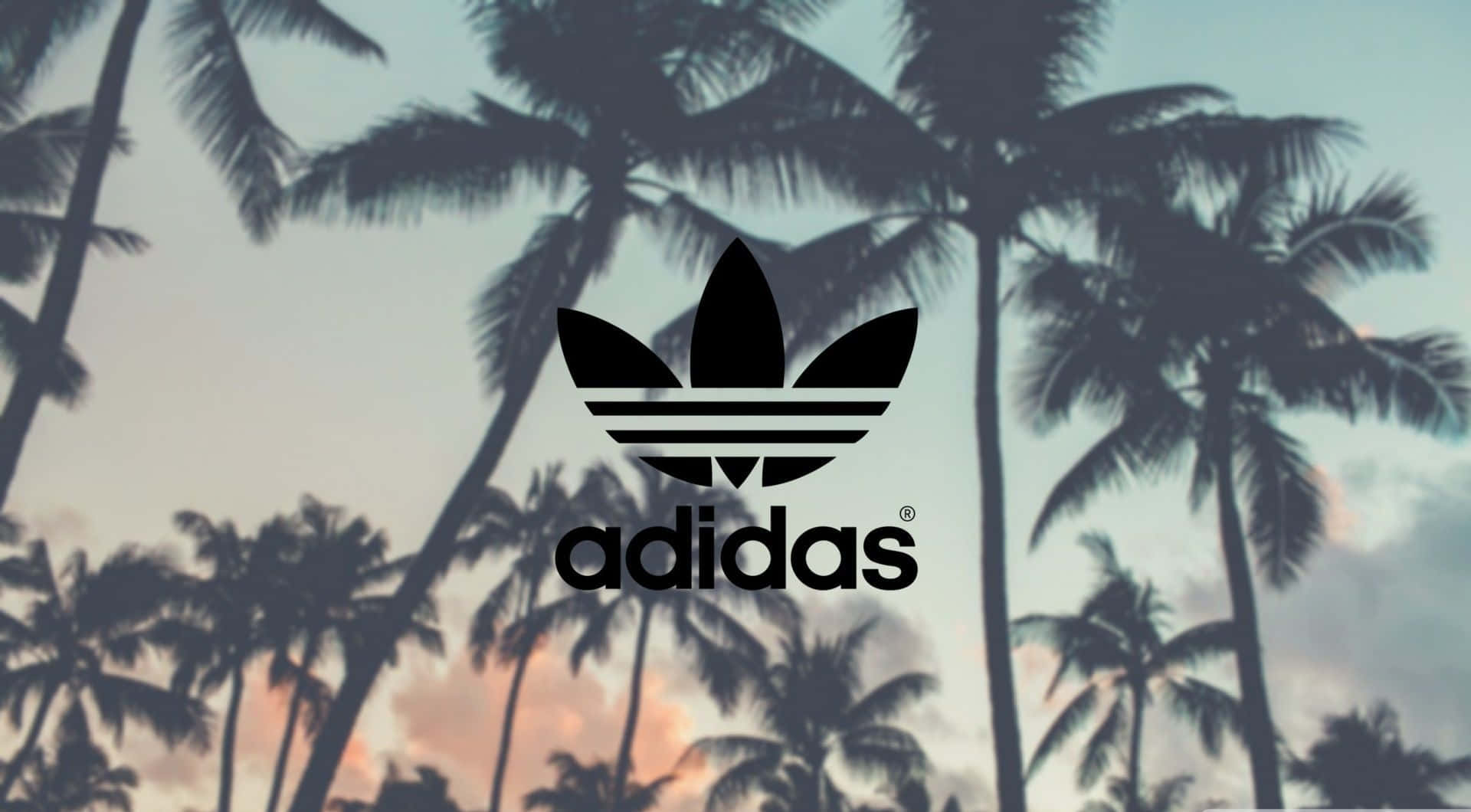 愛迪達 桌布 壁紙 — 黑色Adidas標誌居中，以剪影棕櫚樹為背景，日落時分，天空柔和粉紅和藍色。