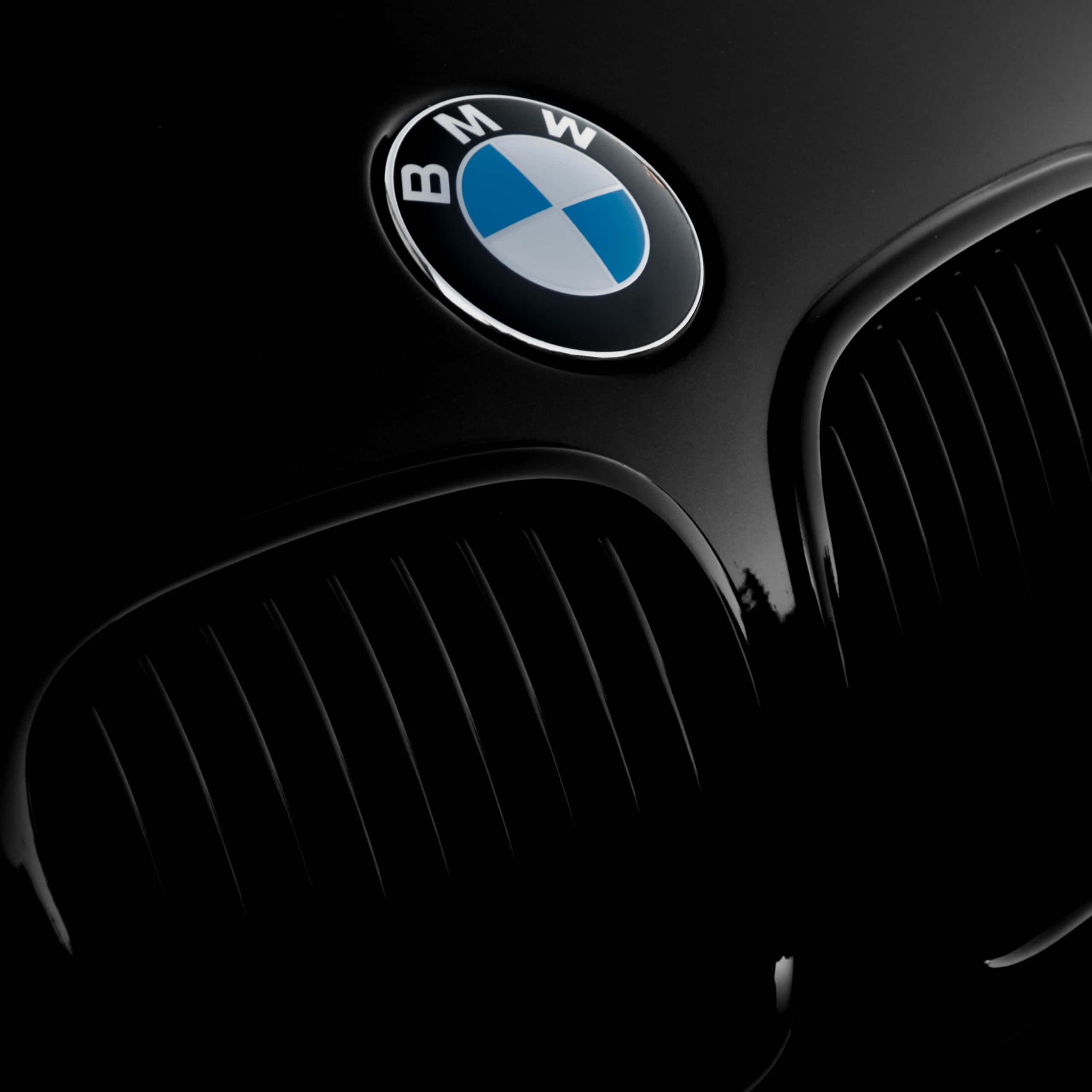 BMW 動圖 桌布 壁紙 — 黑色光面寶馬引擎蓋的特寫，帶有標誌性圓形標誌和腎形格柵，在戲劇性燈光下。