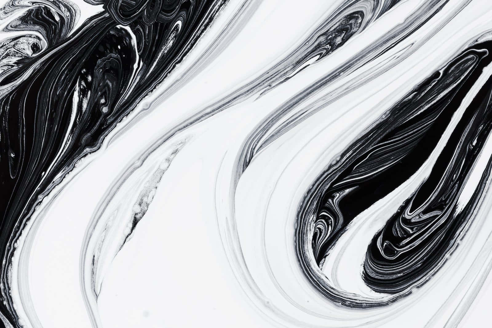 Black And White Drawings 桌布 壁紙 — 黑色和白色油漆的動態漩渦在畫布上以優雅、有機的圖案流動。