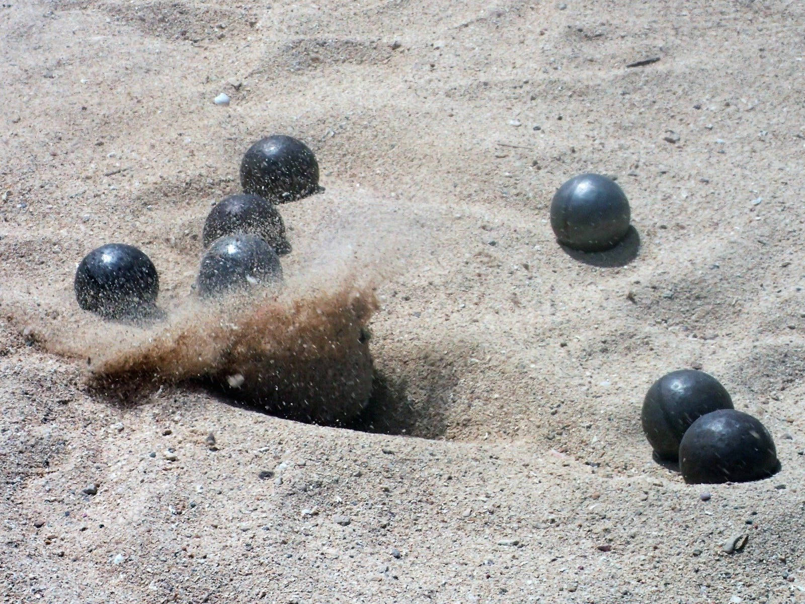 balls 桌布 壁紙 — 黑色地滾球撞入沙地，在明亮的日光下揚起灰塵。
