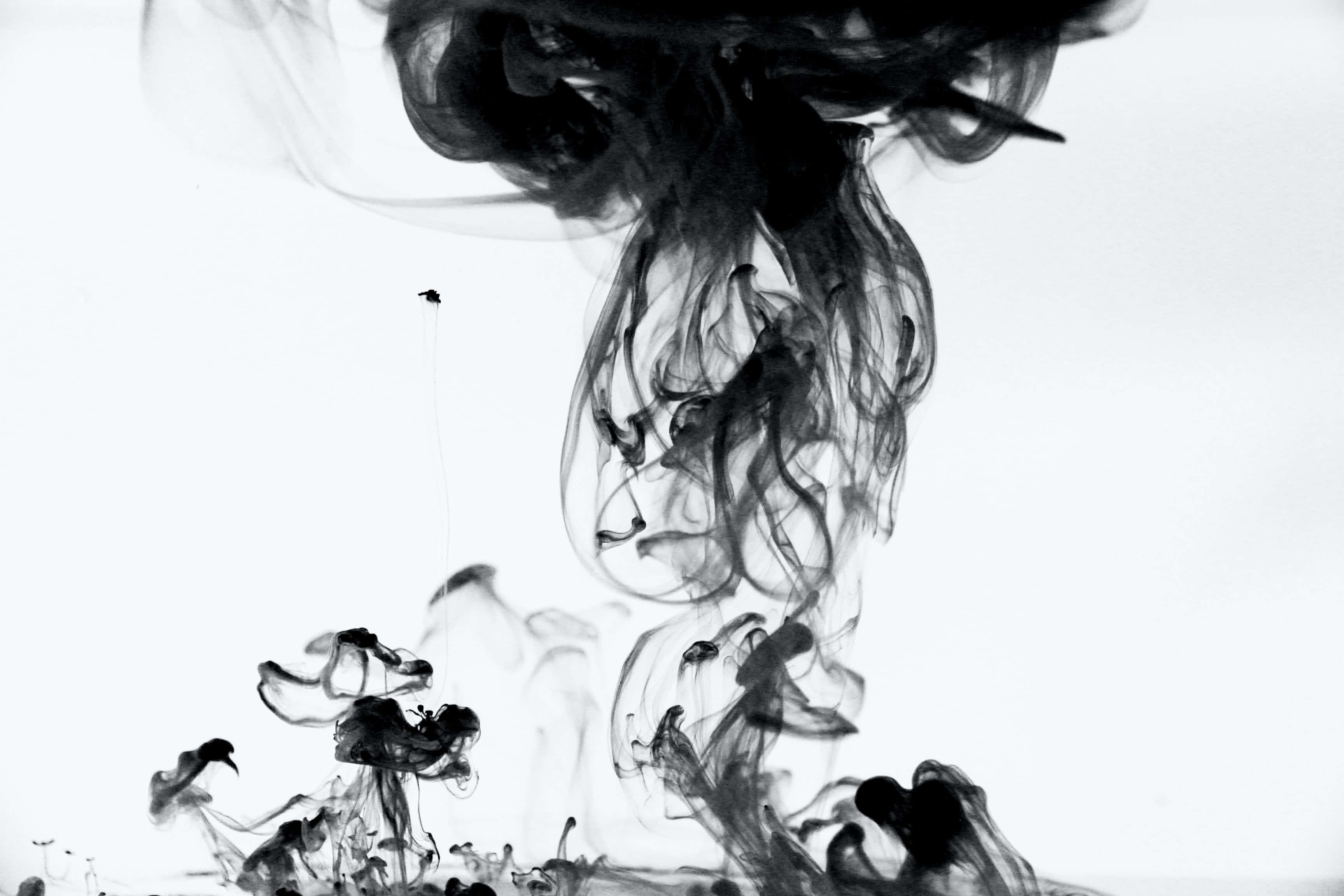 Smoke Black 桌布 壁紙 — 黑色墨水在純白背景上戲劇性地旋轉，形成迷人的抽象流體運動。