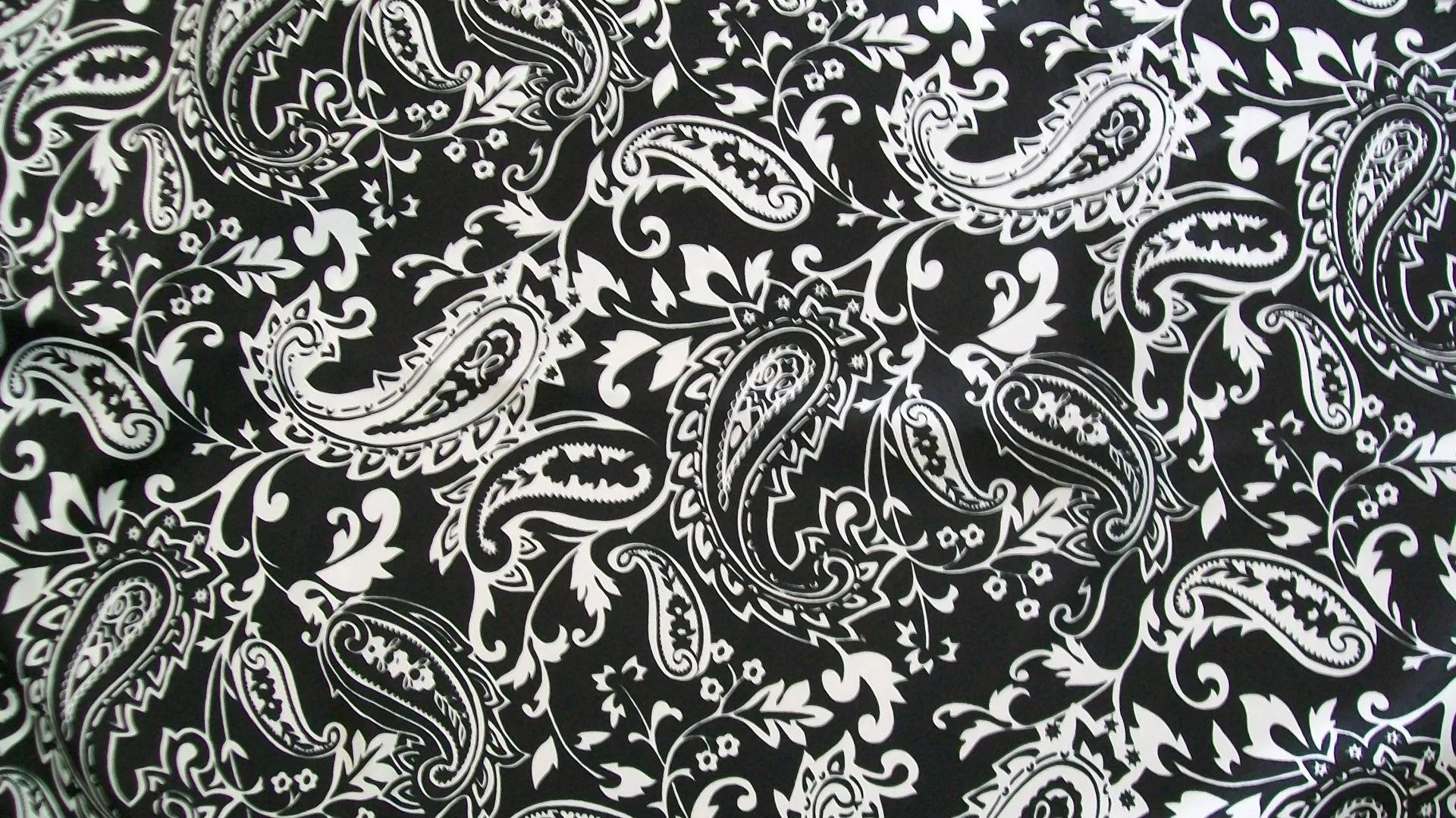 Paisley 桌布 壁紙 — 黑色布料背景上複雜的白色佩斯利和花卉圖案的特寫。