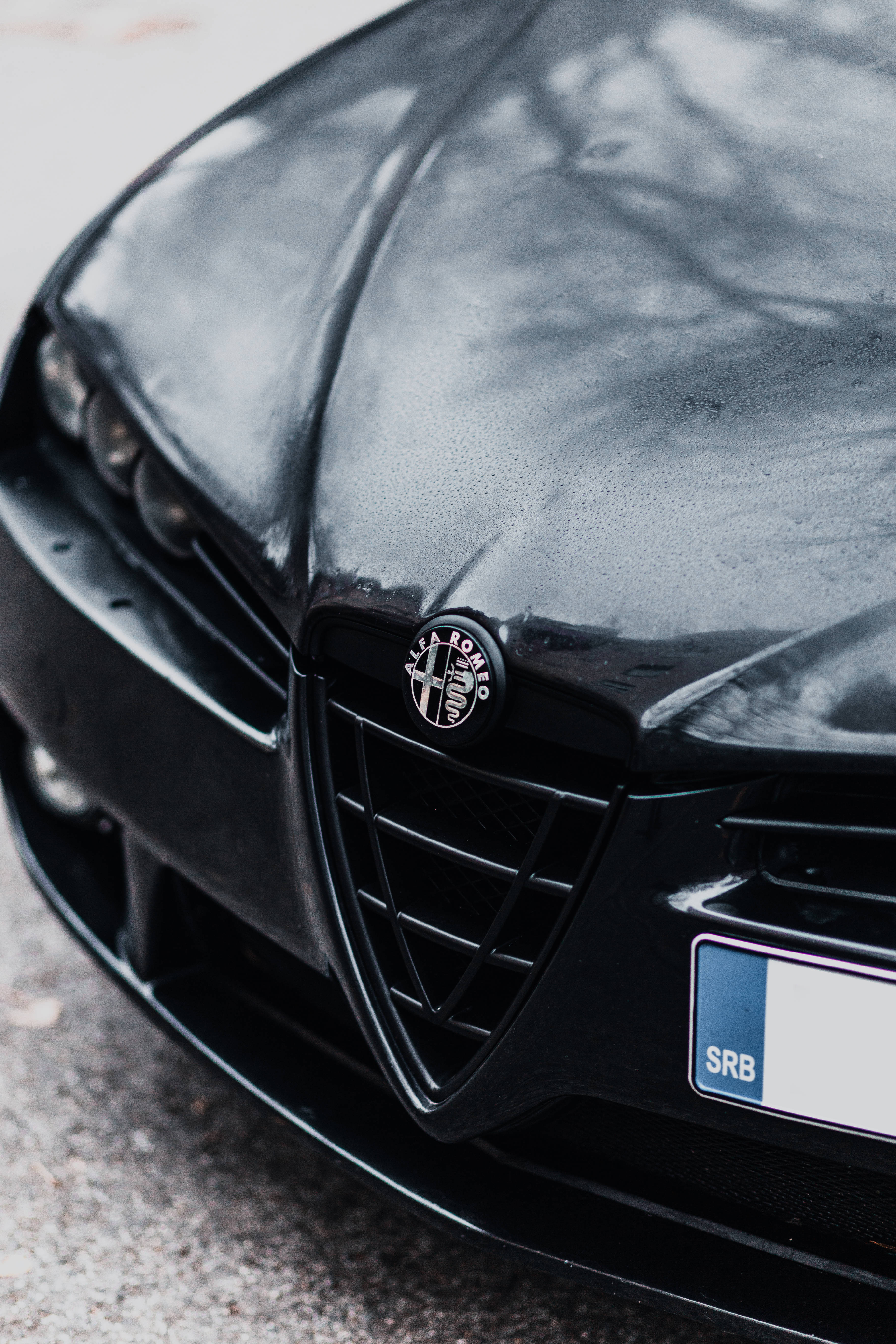 Alfa Romeo 桌布 壁紙 — 黑色愛快羅密歐汽車引擎蓋的特寫，光滑表面上閃爍著雨滴。