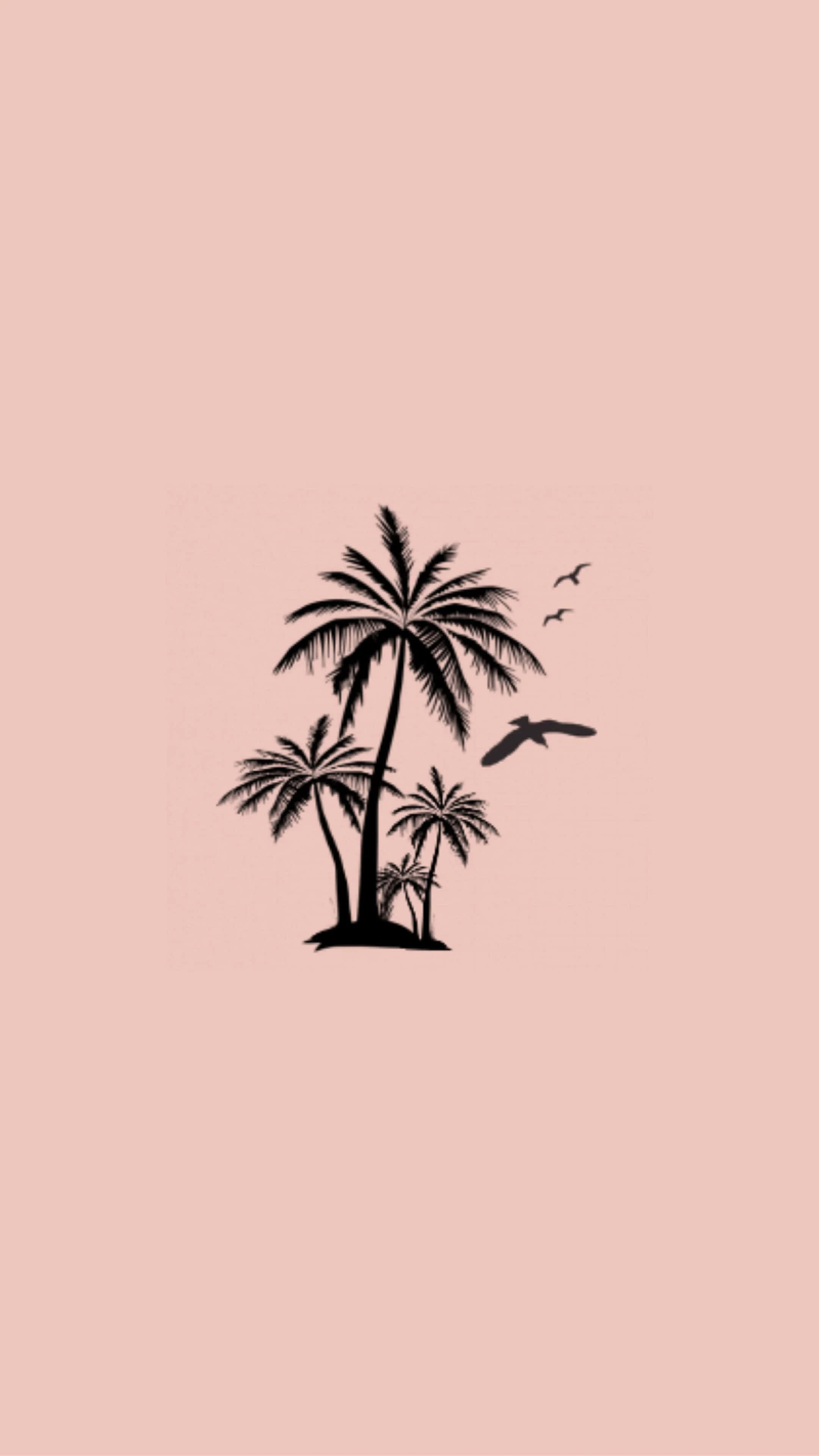 Cute Aesthetic Profile 桌布 壁紙 — 黑色棕櫚樹剪影和飛鳥，襯以柔和粉紅色背景。