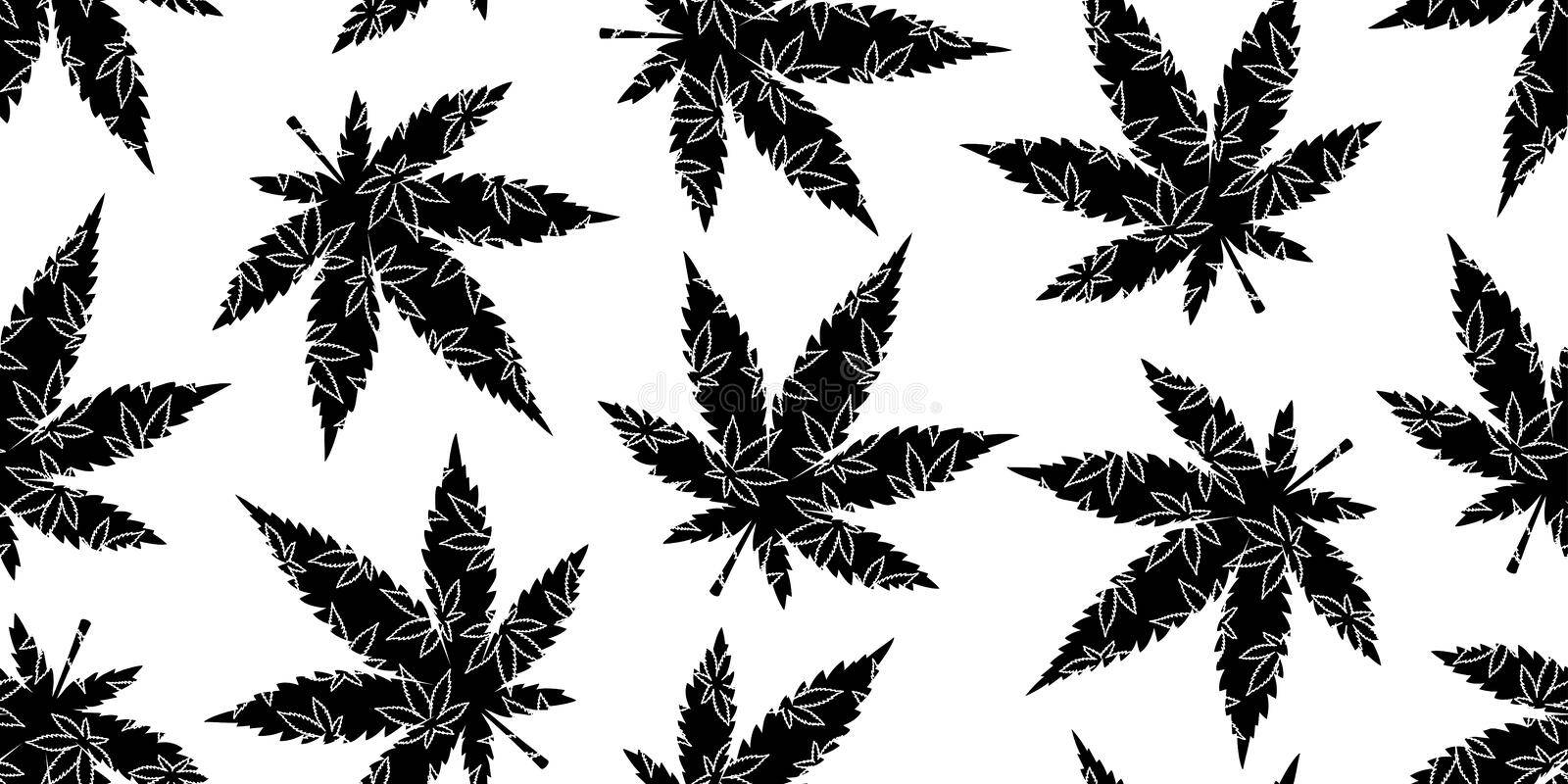 酷炫大麻 桌布 壁紙 — 黑色楓葉剪影帶白色葉脈細節，在白色背景上重複形成無縫圖案。