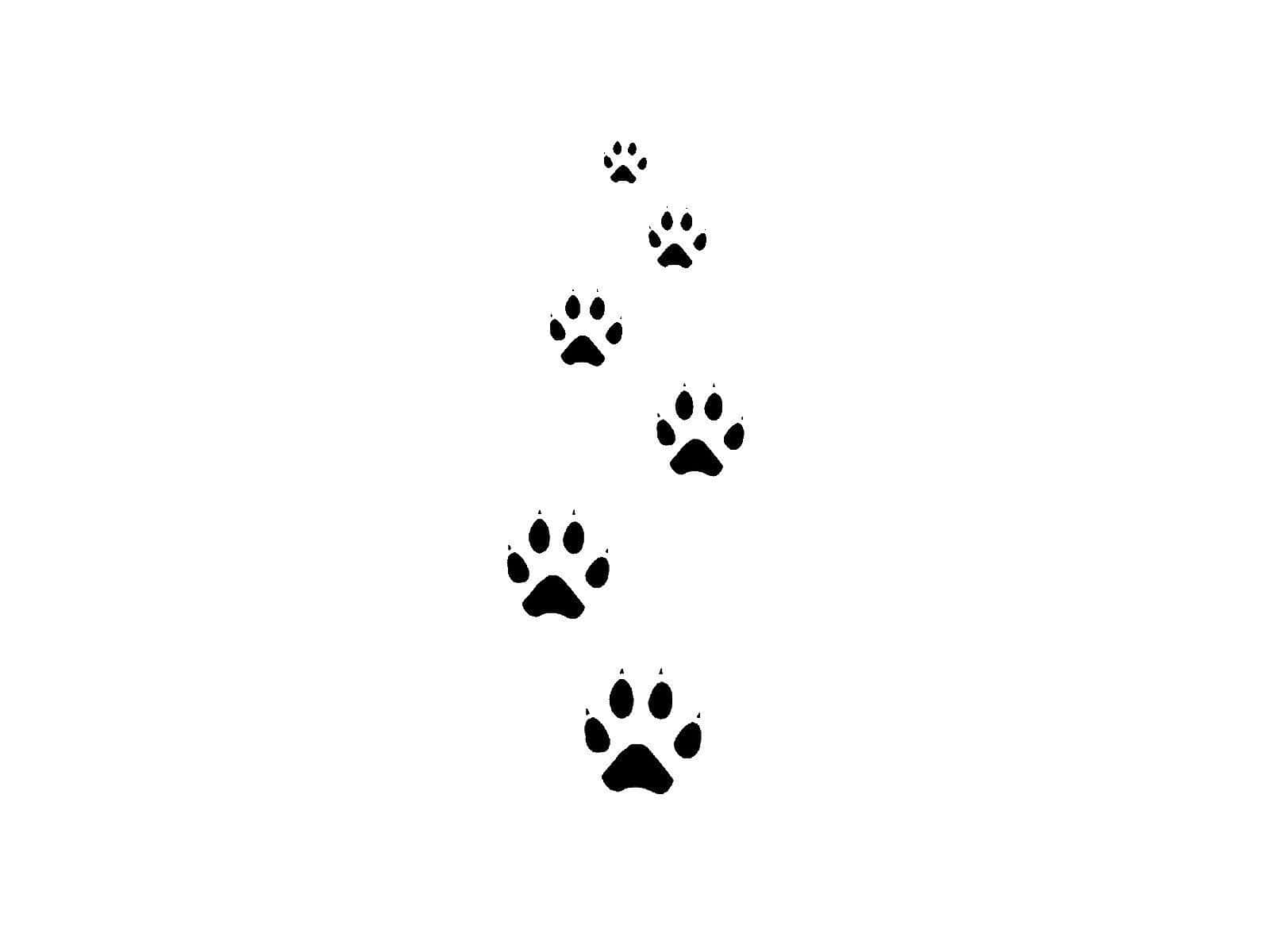 Paw Print 桌布 壁紙 — 黑色爪印垂直向上延伸的痕跡，背景為純白色。