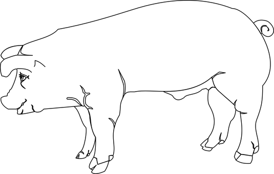 黑色畫面無內容 壁紙