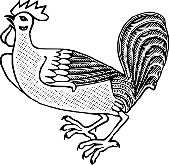 黑色空白畫面 壁紙