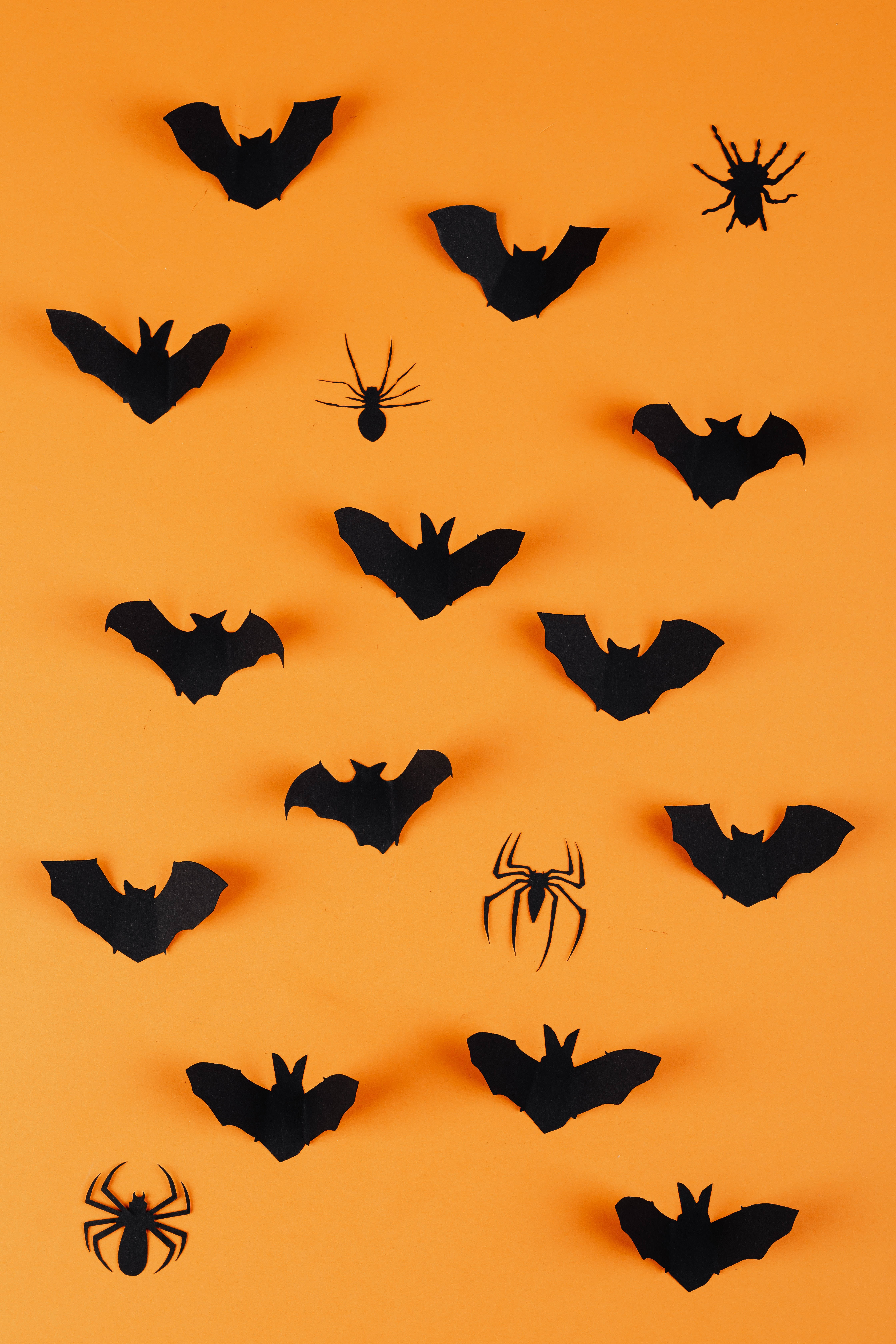Bats 桌布 壁紙 — 黑色紙蝙蝠和蜘蛛在充滿活力的橙色背景上漂浮，呈現萬聖節主題的平面佈置。