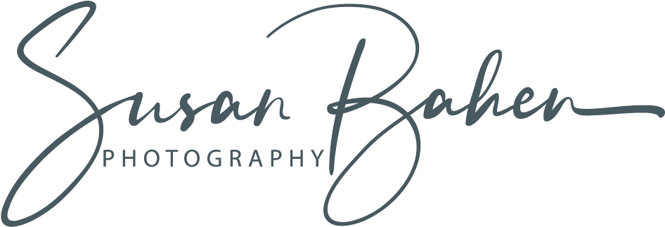 攝影師 桌布 壁紙 — 黑色背景上 Susan Bahen Photography 的優雅灰色草書簽名。
