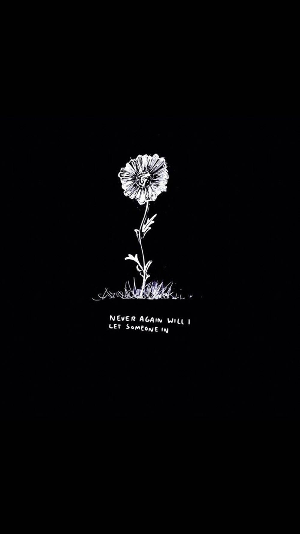 Daisy 桌布 壁紙 — 黑色背景上，一朵孤獨花朵的銳利白色線條畫，下方附有文字。