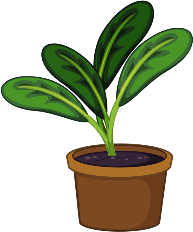 Daun 桌布 壁紙 — 黑色背景上，一棵卡通盆栽植物，擁有寬大的綠色葉子和棕色花盆。