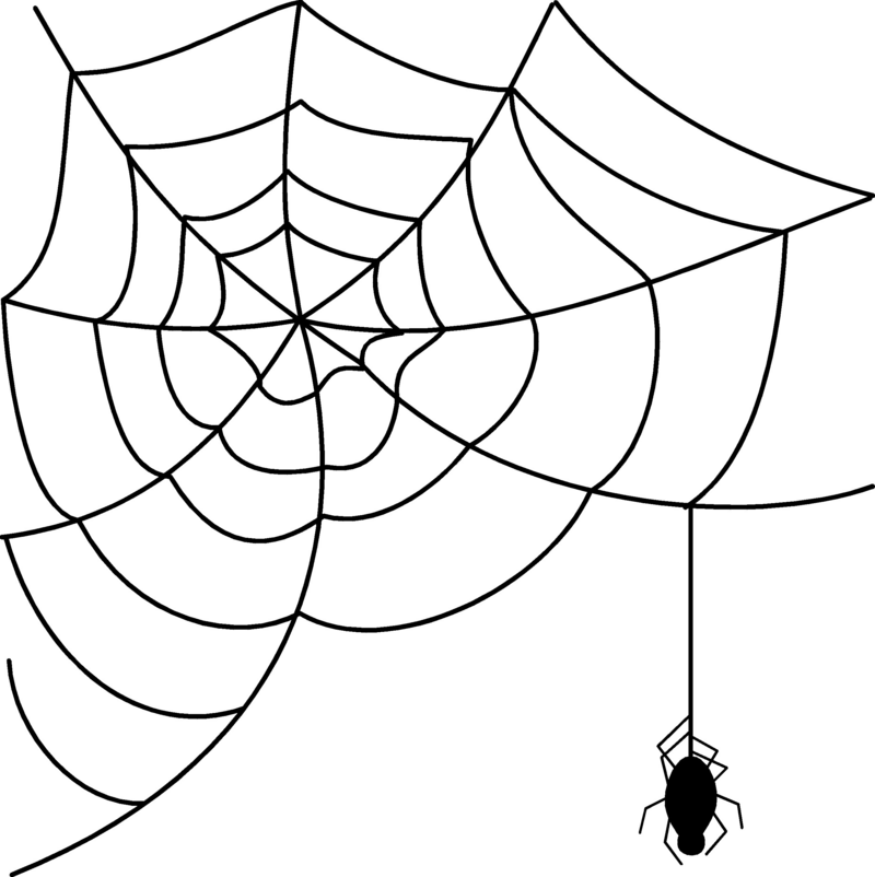 Spider Webs 桌布 壁紙 — 黑色背景上，以白色線條繪製的清晰蜘蛛網圖案，下方懸掛著一隻蜘蛛。