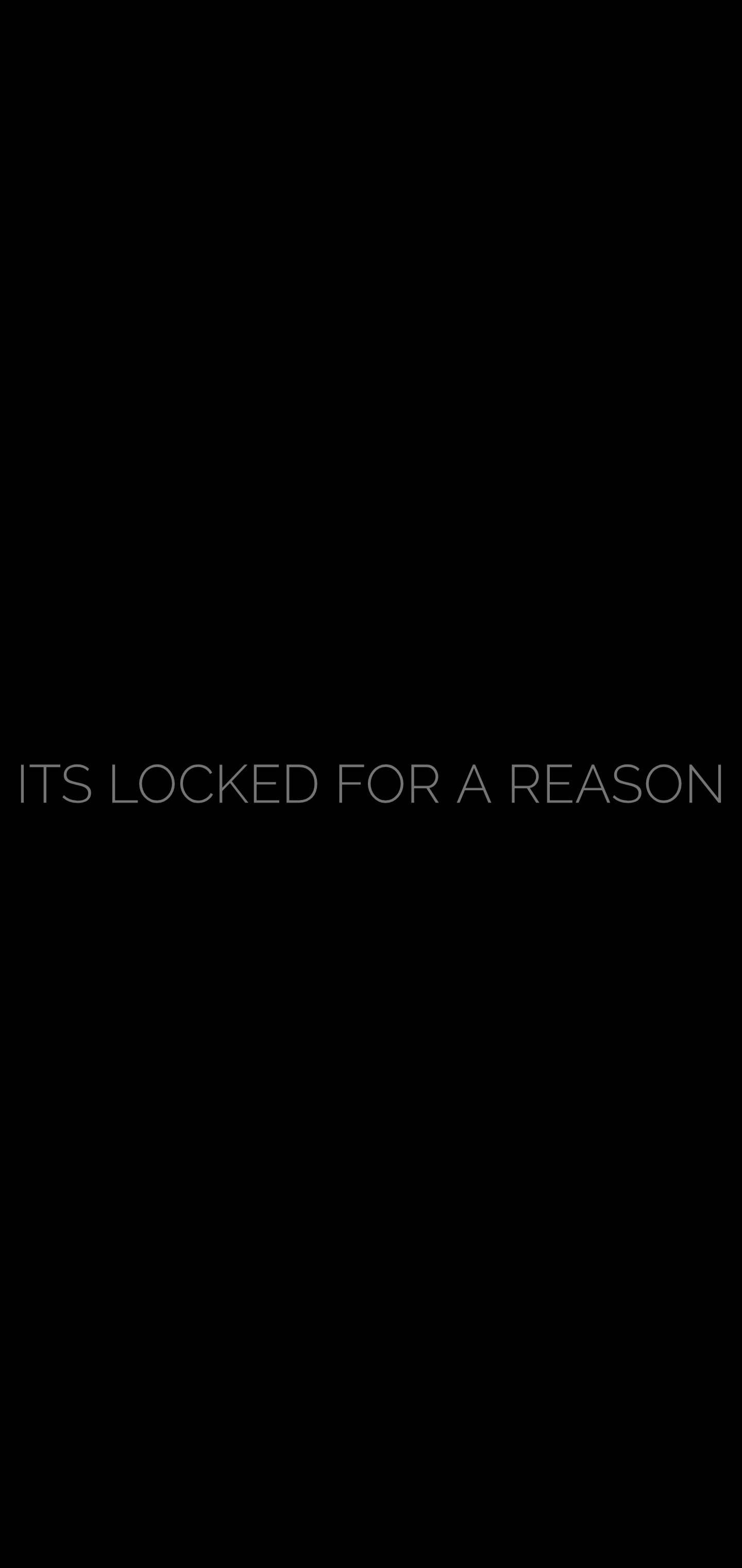 鎖屏 桌布 壁紙 — 黑色背景上，以細白色文字垂直置中顯示「its locked for a reason」字句。