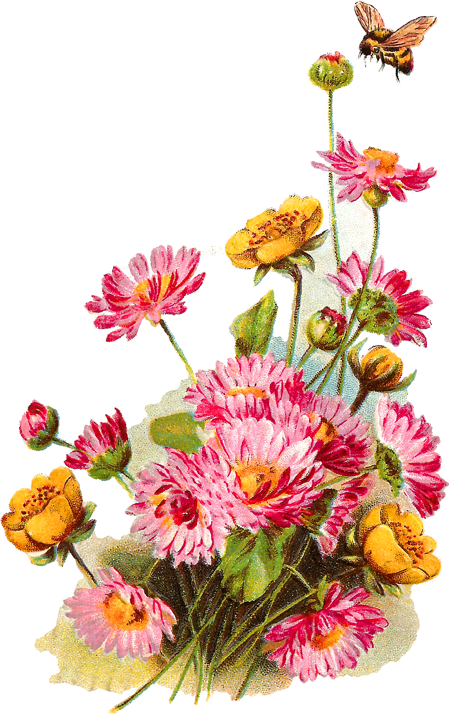 Pink Flowers 桌布 壁紙 — 黑色背景上，粉紅色和黃色雛菊的鮮豔復古風格花束，配有綠葉和一隻蜜蜂在上方盤旋。