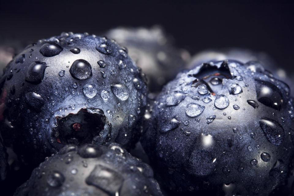 Droplets 桌布 壁紙 — 黑色背景上，閃閃發光的露珠依附在飽滿的深色藍莓上的特寫。
