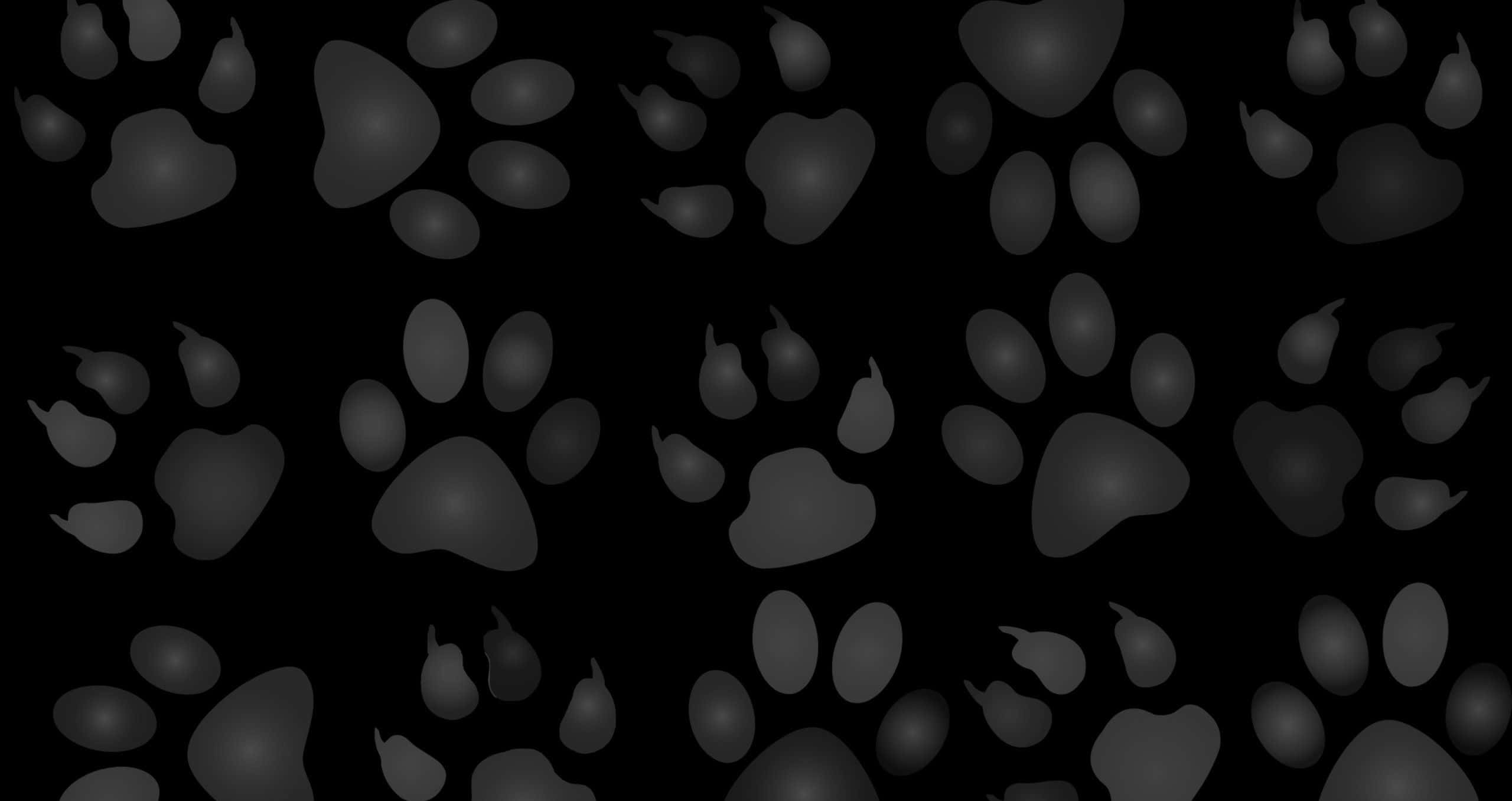 paws 桌布 壁紙 — 黑色背景上以不同灰色調散落的動物爪印單色圖案。