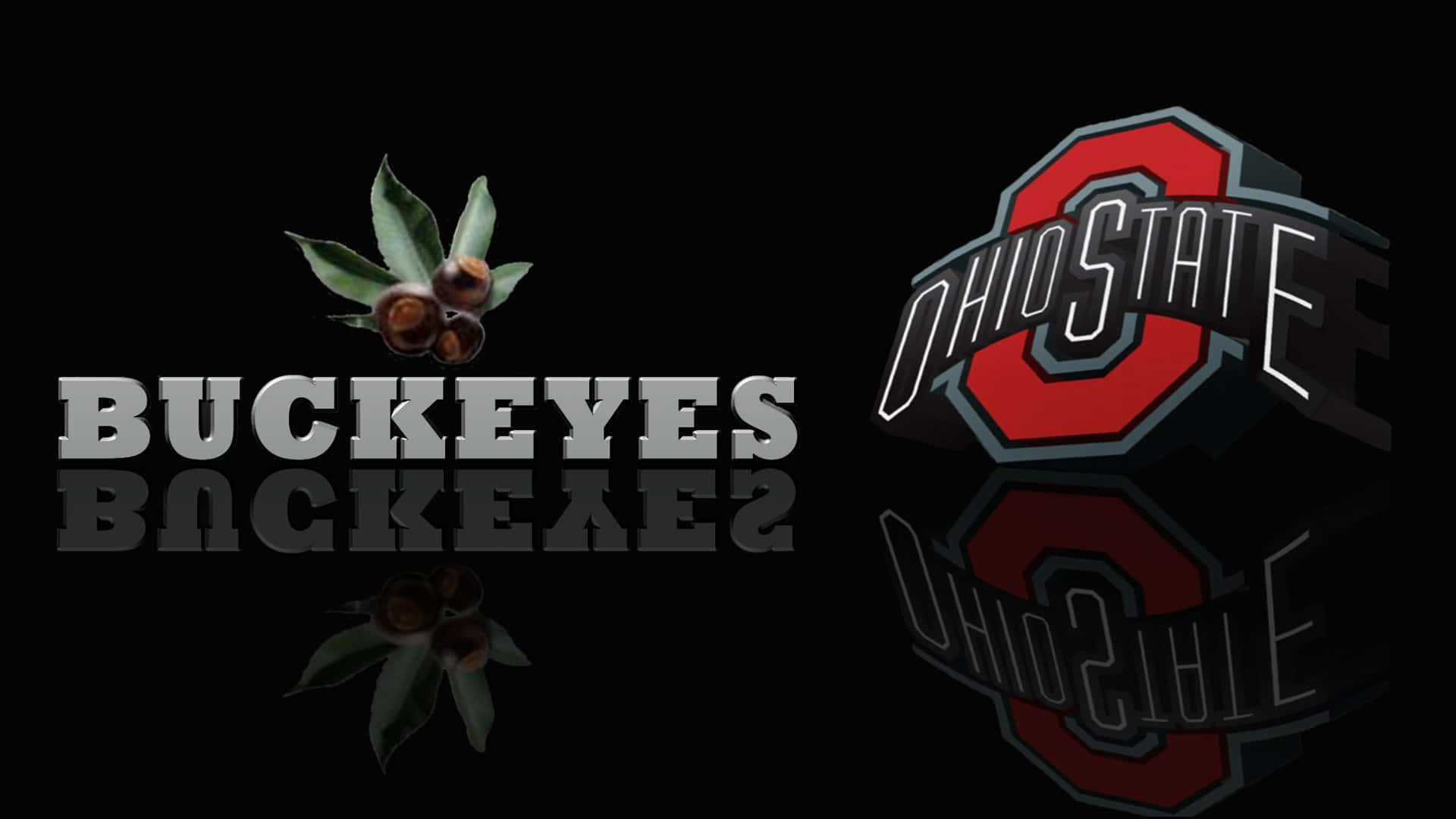 Ohio State Logo 桌布 壁紙 — 黑色背景上帶有俄亥俄州立大學七葉樹標誌和七葉樹果實，並具有反射鏡面效果。