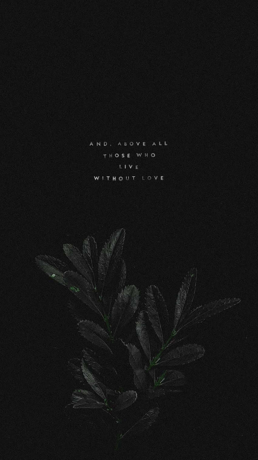 Aesthetic Dark 桌布 壁紙 — 黑色背景上帶有樹葉枝條和文字「而最重要的是那些沒有愛而活著的人」的深色極簡風格桌布。