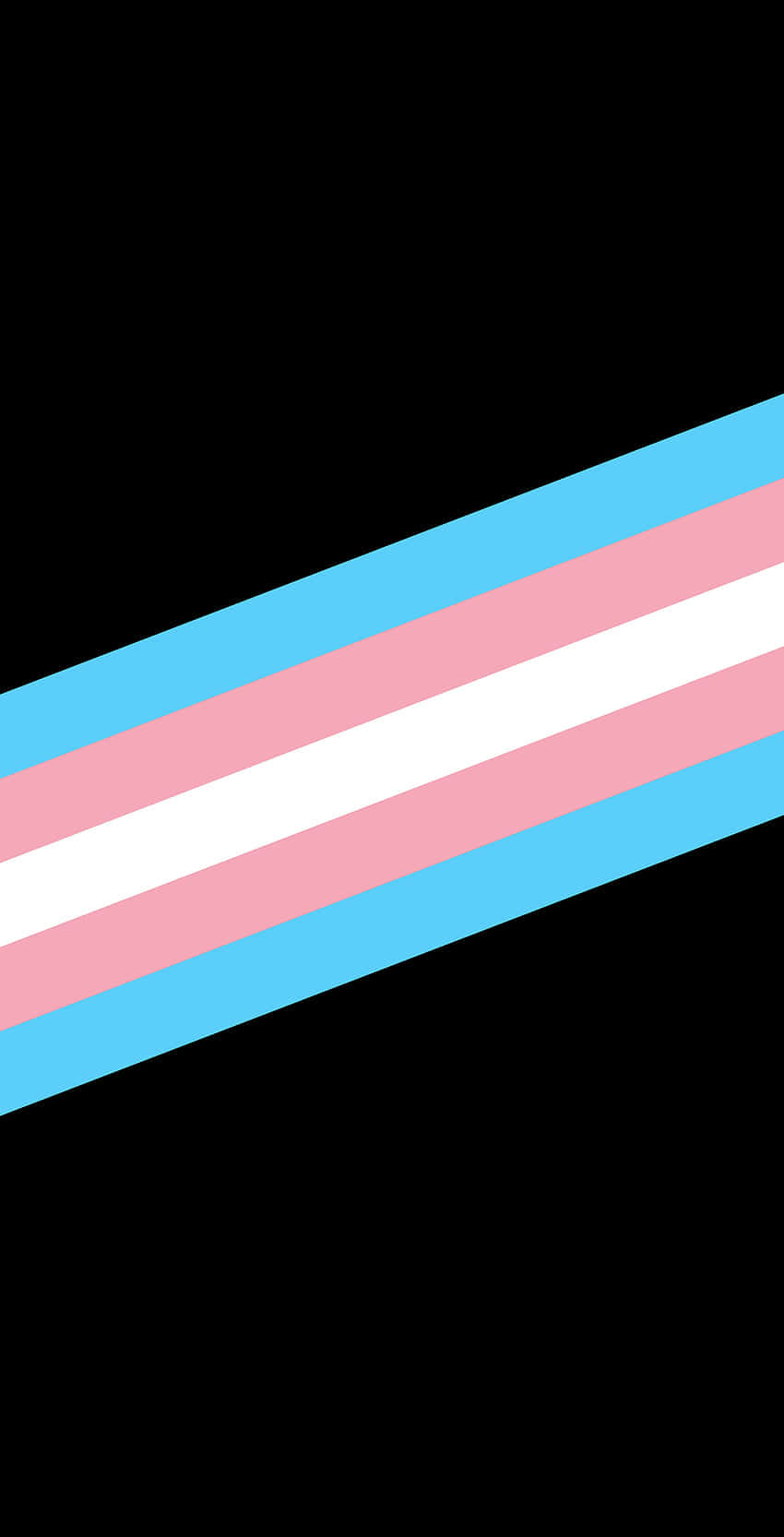 Pride Flag 桌布 壁紙 — 黑色背景上帶有淺藍色、粉紅色和白色條紋的對角線跨性別旗幟。