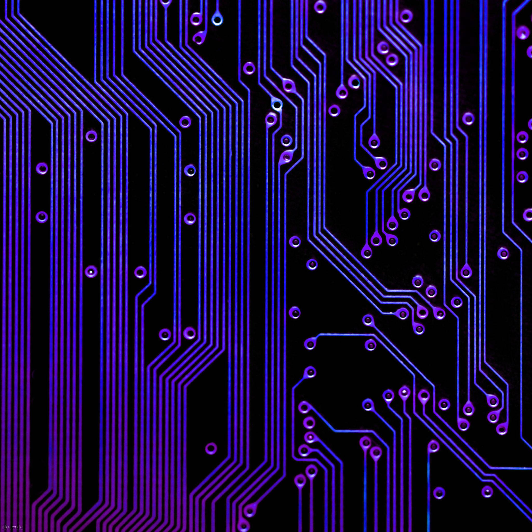 Circuit 桌布 壁紙 — 黑色背景上發光的紫色和藍色電路板走線特寫。