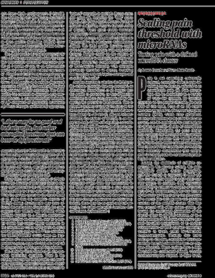 疼痛 桌布 壁紙 — 黑色背景上白色文字，模仿科學期刊文章佈局，帶有粗體標題和密集段落。