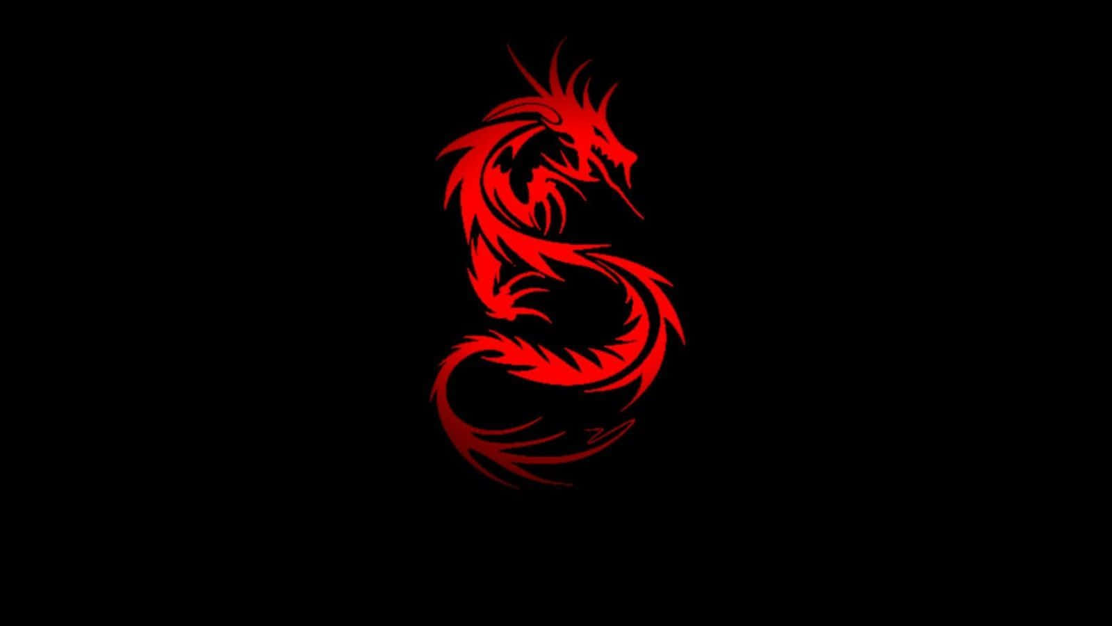 黑色背景上的紅色龍 壁紙