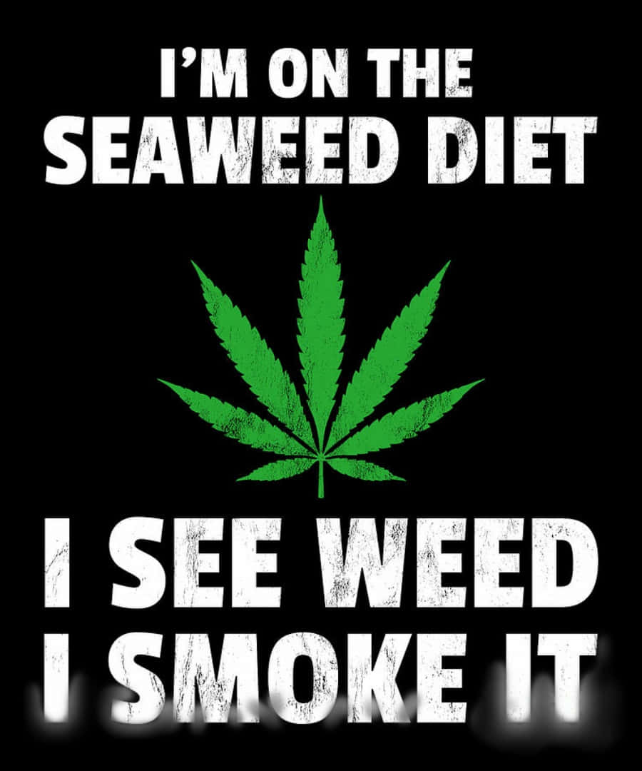 Weed Funny 桌布 壁紙 — 黑色背景上粗體白色文字宣告「我正在進行海藻飲食」，上方有綠色大麻葉，下方有「我看到雜草就吸它」。