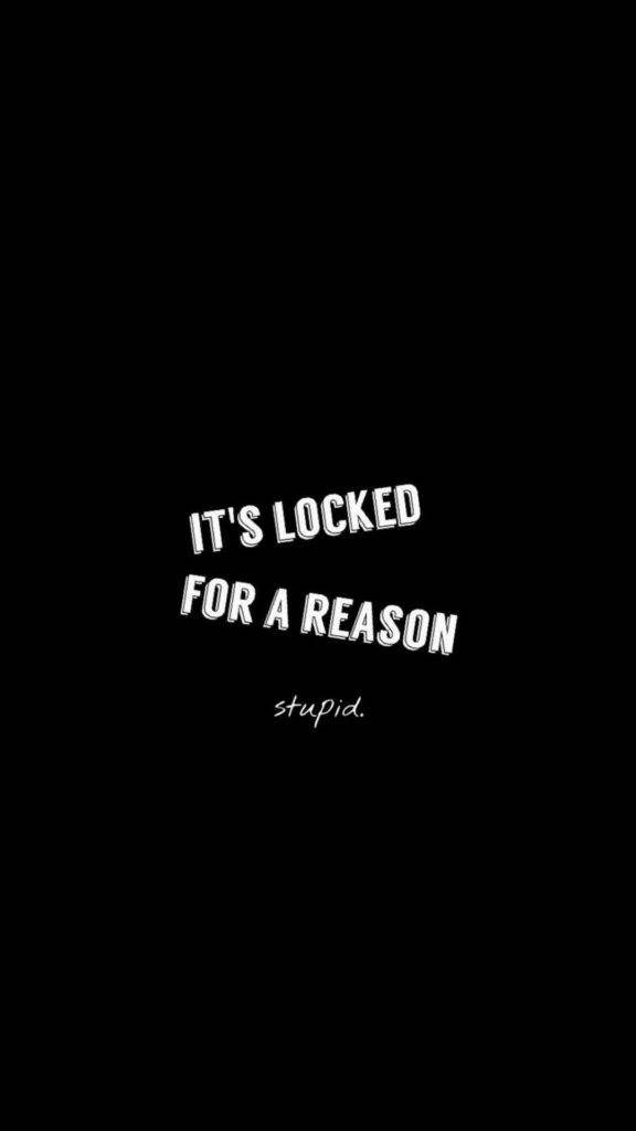 Stupid 桌布 壁紙 — 黑色背景上粗體白色文字寫著「IT'S LOCKED FOR A REASON」，下方有斜體「stupid.」。