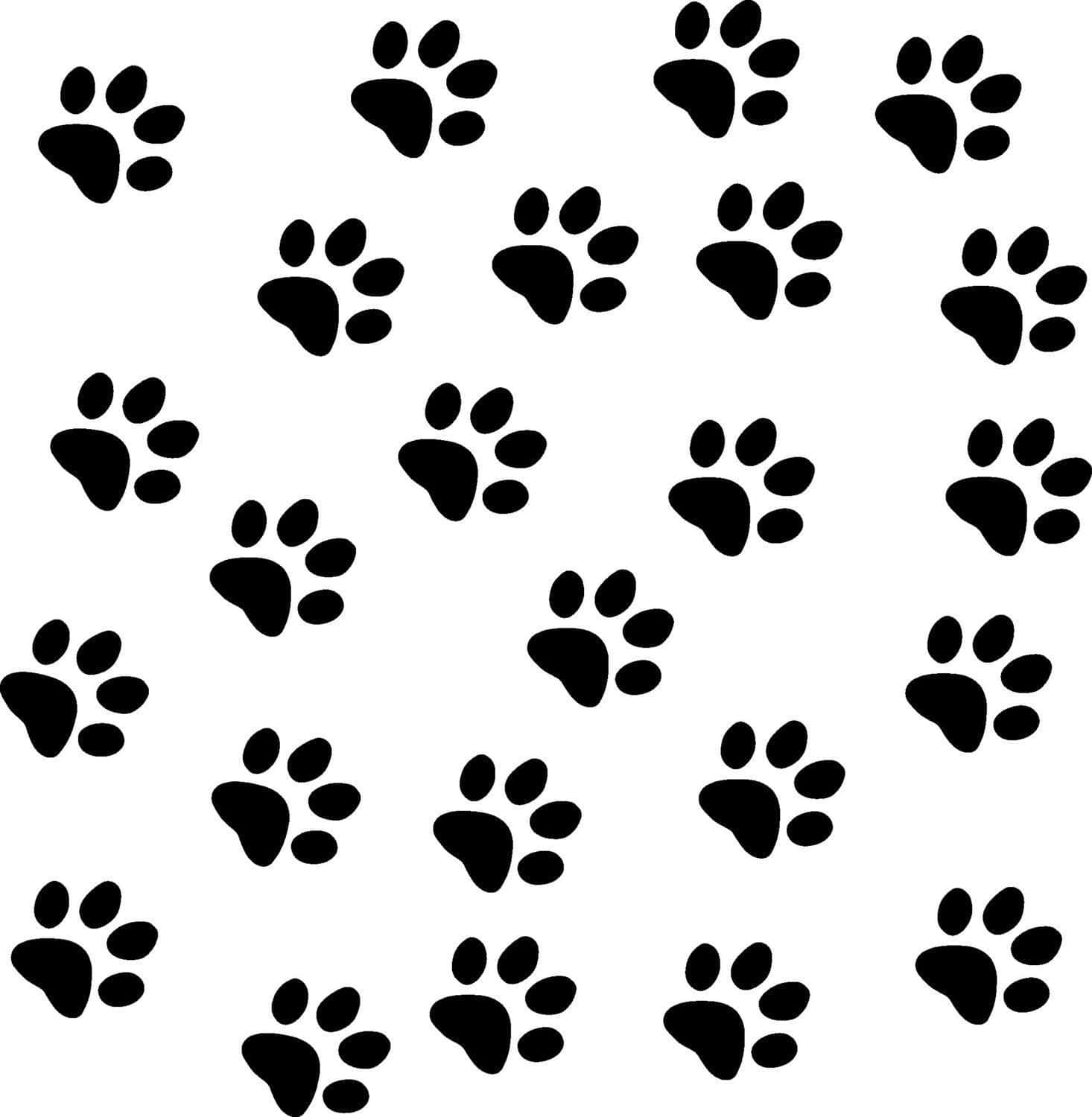 paws 桌布 壁紙 — 黑色腳印剪影散落在乾淨的白色背景上，形成重複圖案。