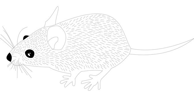 黑色螢幕上的單一白色游標 壁紙