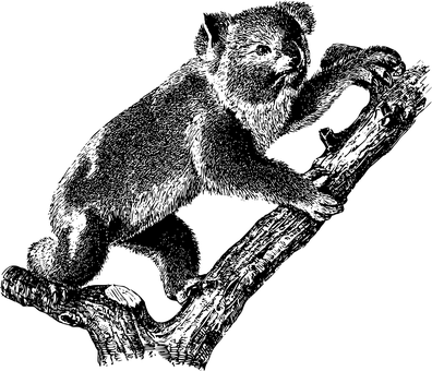 黑色螢幕空白影像 壁紙
