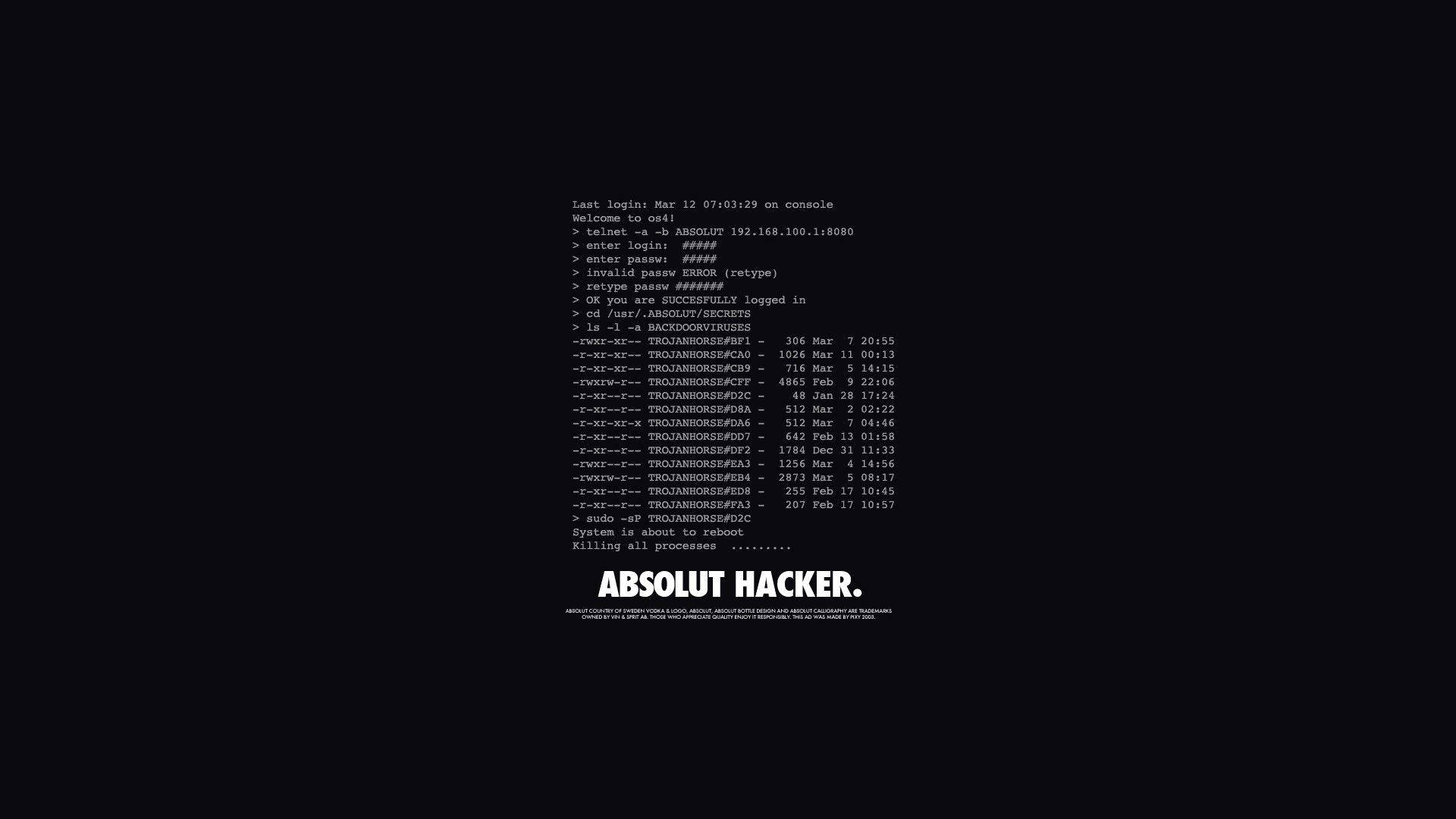 Hacker Full HD 桌布 壁紙 — 黑色螢幕顯示終端機登入序列，以粗體白色文字 'ABSOLUT HACKER' 結束。