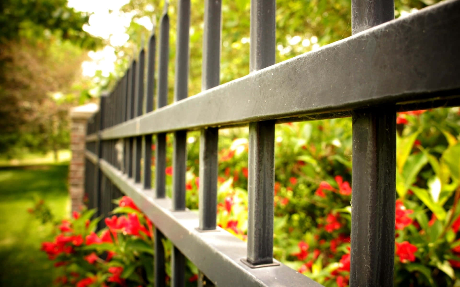 fence 桌布 壁紙 — 黑色金屬圍欄的特寫，垂直欄杆框住柔焦中鮮豔的紅色花朵和茂密的綠色樹葉。