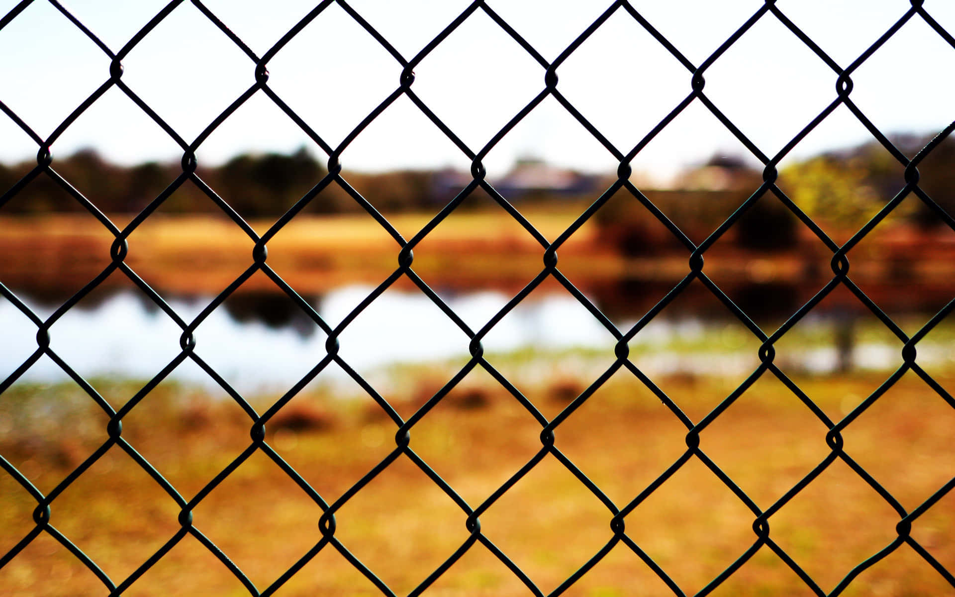fence 桌布 壁紙 — 黑色鐵絲網圍欄的特寫，背景是模糊的水面和秋葉。