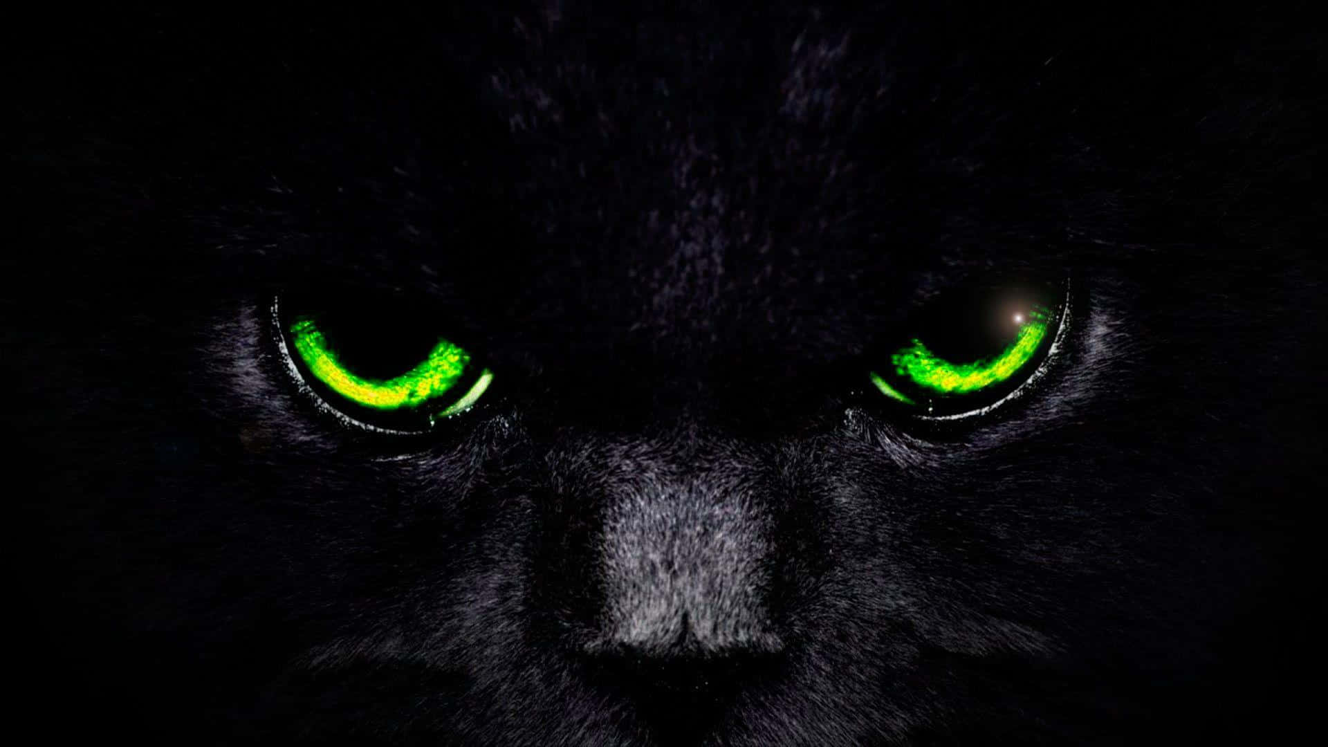 Cat Eyes 桌布 壁紙 — 黑貓臉部特寫，雙眼發出綠色光芒，在完全黑暗中凝視。
