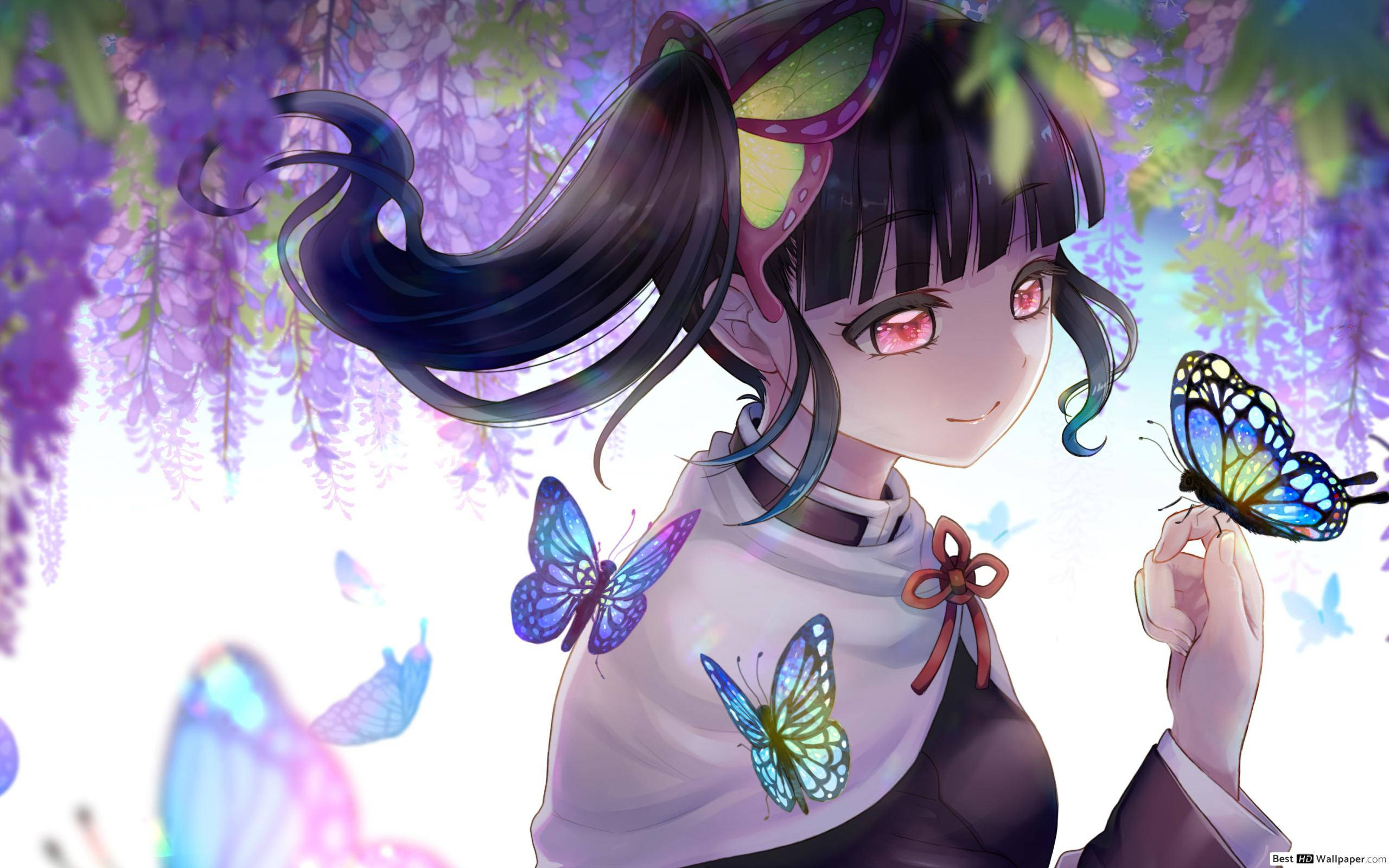 動漫女孩 桌布 壁紙 — 黑髮粉紅眼睛的動漫女孩在紫色紫藤花瀑布下輕輕捧著一隻蝴蝶。