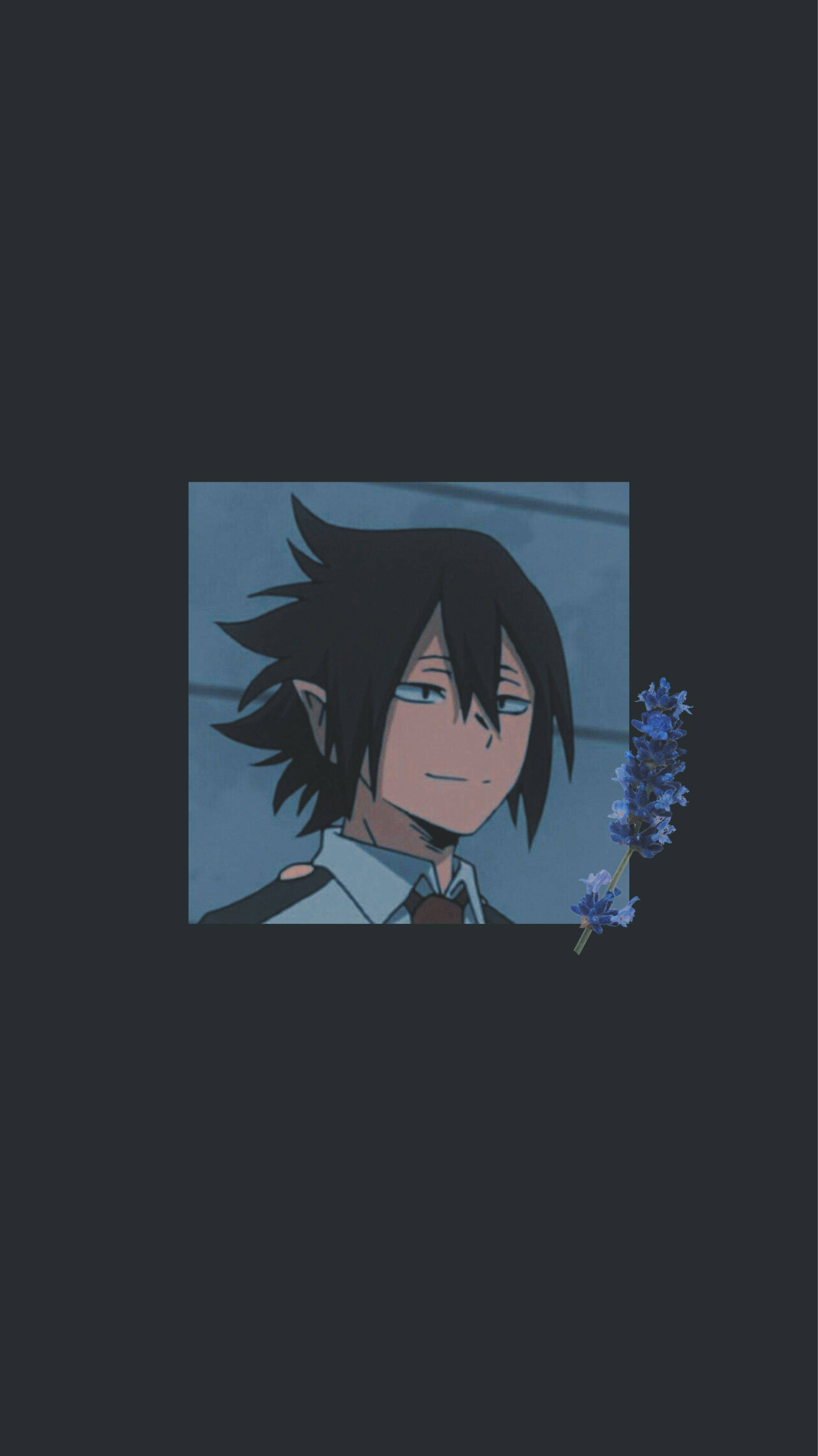 Tamaki Amajiki 桌布 壁紙 — 黑髮藍眼的動漫角色在深色背景前手持一枝薰衣草。