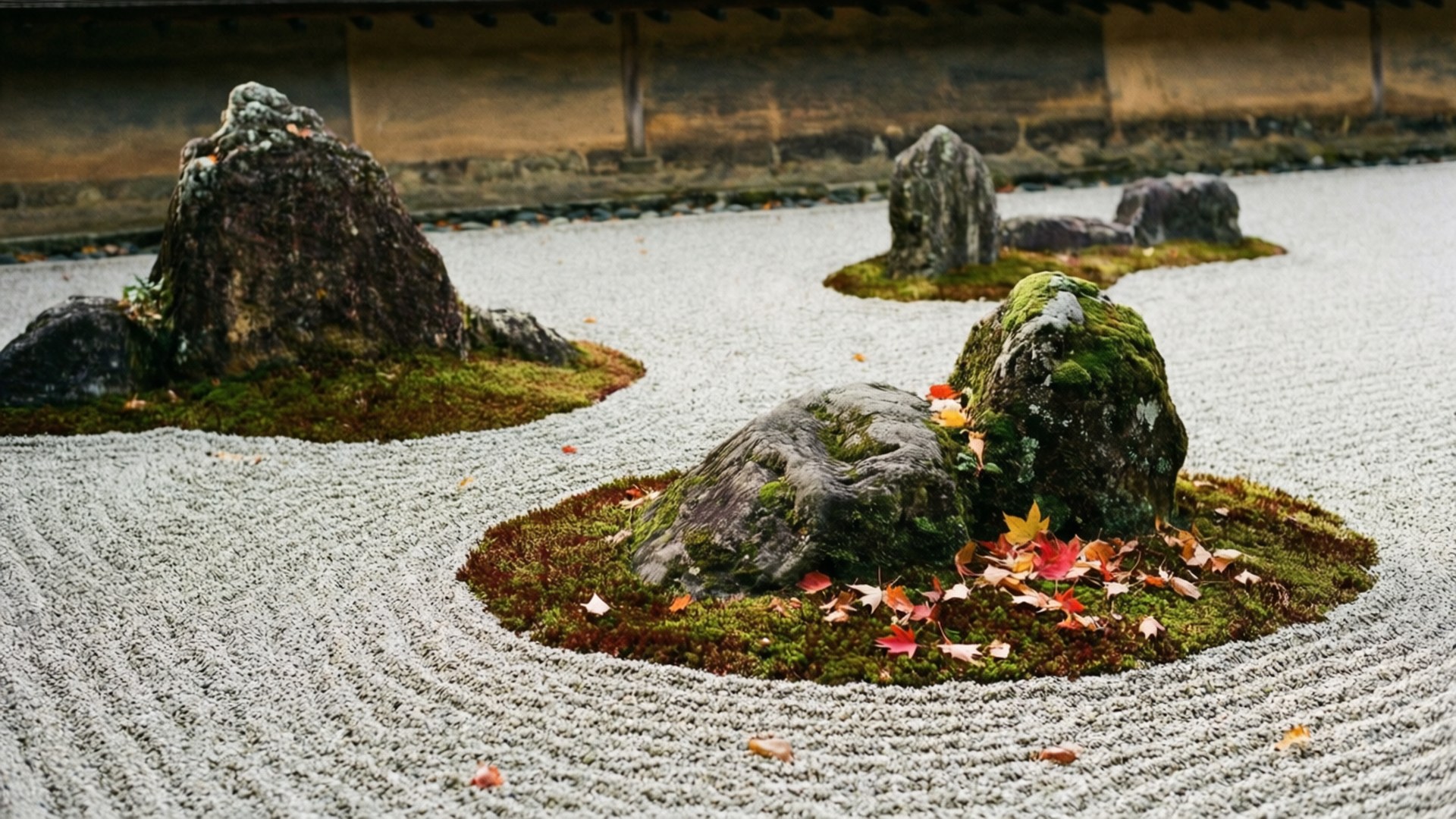 龍安寺禪園內的岩石庭園，秋葉飄落