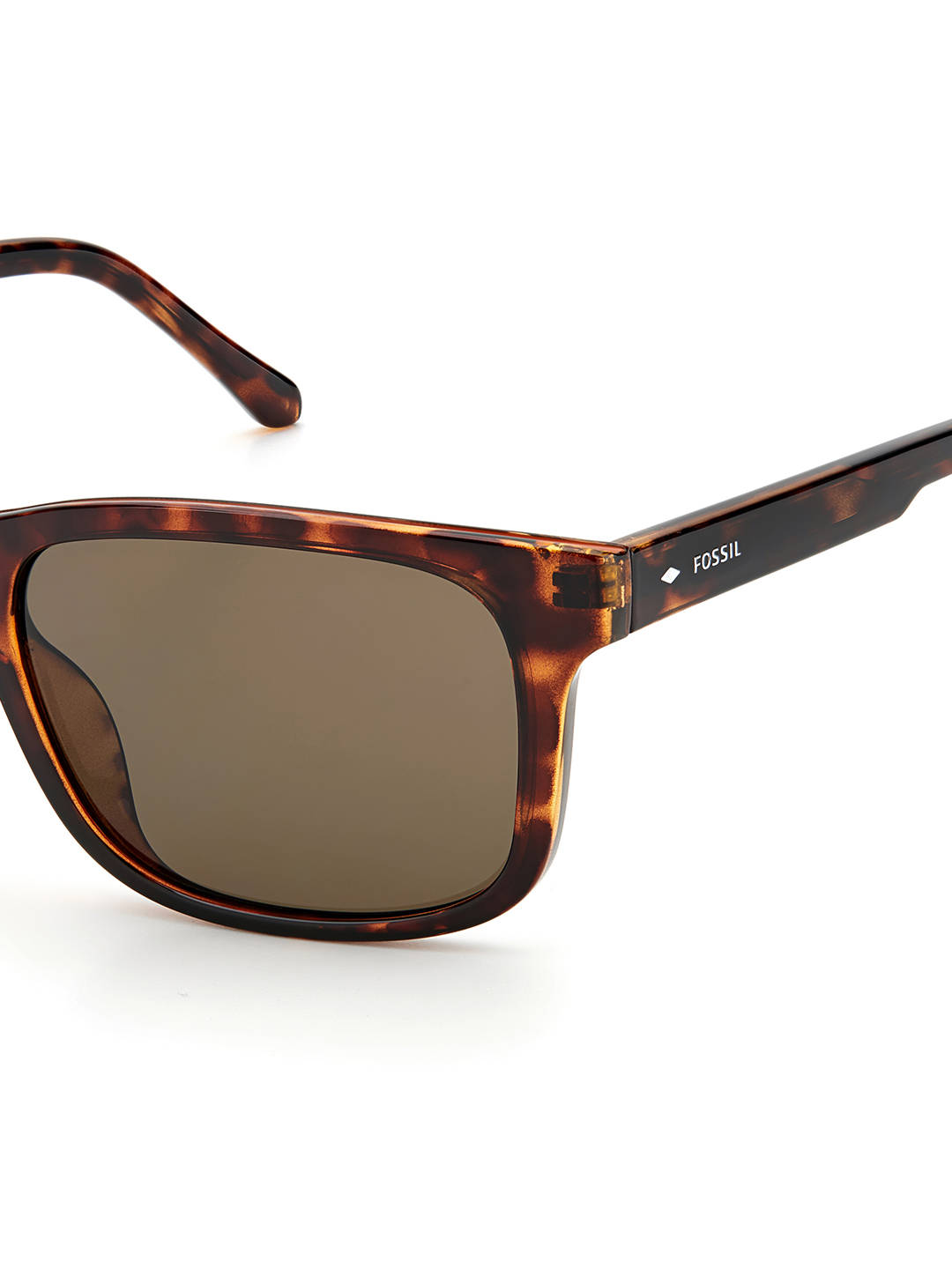 Sunglasses 桌布 壁紙 — 龜甲框Fossil太陽眼鏡搭配棕色鏡片，在潔白背景上的特寫。