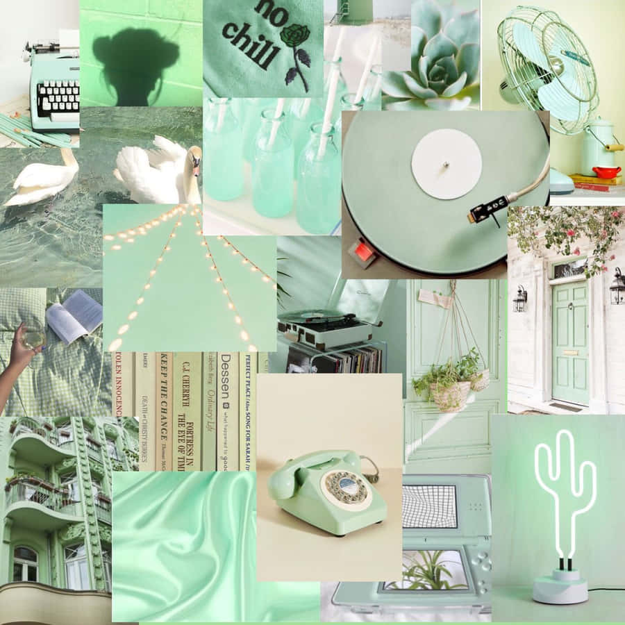 Light Green Background