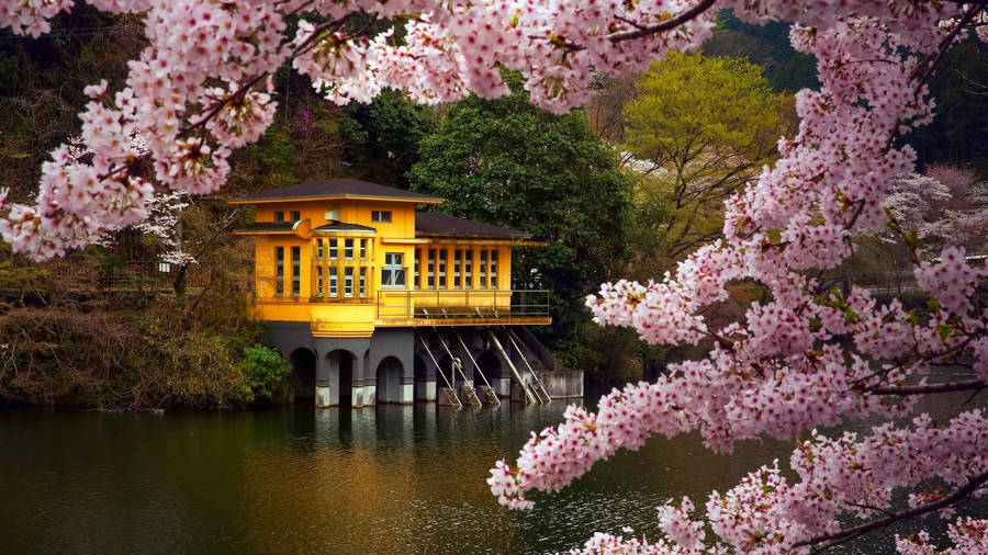 Most Beautiful Spring