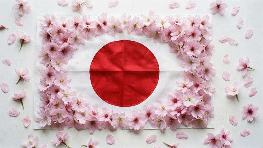 Japanese flag formed with cherry blossom petals