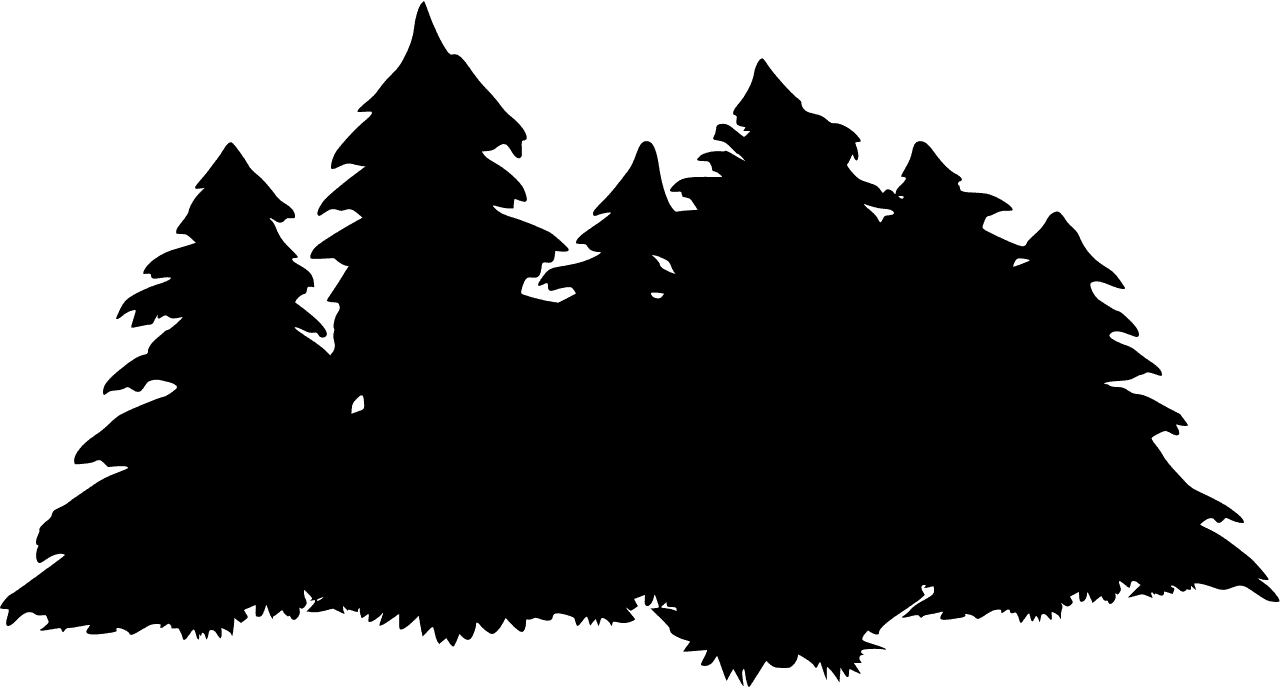 松林剪影