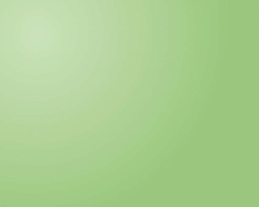 鼠尾草綠美學 桌布