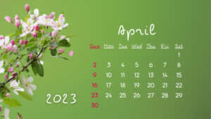 2023年4月日曆，綠色背景上盛開花朵。 — 1600x900 壁紙